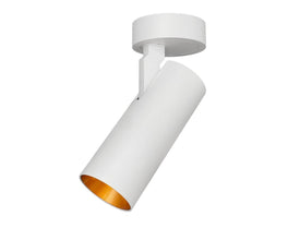 Surface-mounted spotlight SLIMM-50 white | gold